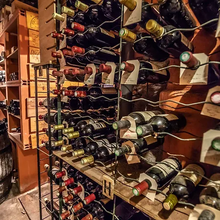 Terminus 3* Каор